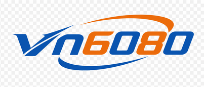 vn6080 logo
